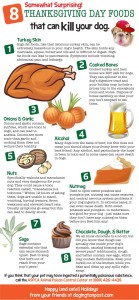 Thanksgiving Day Foods That Can Kill Your Dog